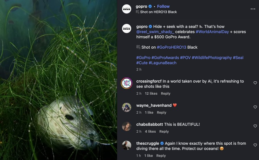 m0mentummike's tweet photo. GoPro just posted their #WorldAnimalDay mascot for this year. Meet Swim Shady

https://t.co/wLYtY4oDOk https://t.co/bBzTGMxnAK