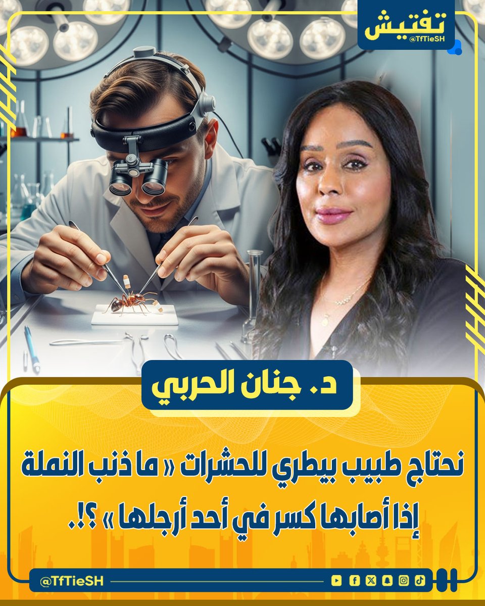 TfTieSH's tweet image. د. جنان الحربي :

• نحتاج طبيب بيطري للحشرات .

• ما ذنب النملة إذا أصابها كسر في أحد أرجلها ؟ أو الفراشة التي فقدت أحد جناحيها ؟ أو الصرصور الذي فقد أحد قرني استشعاره ؟