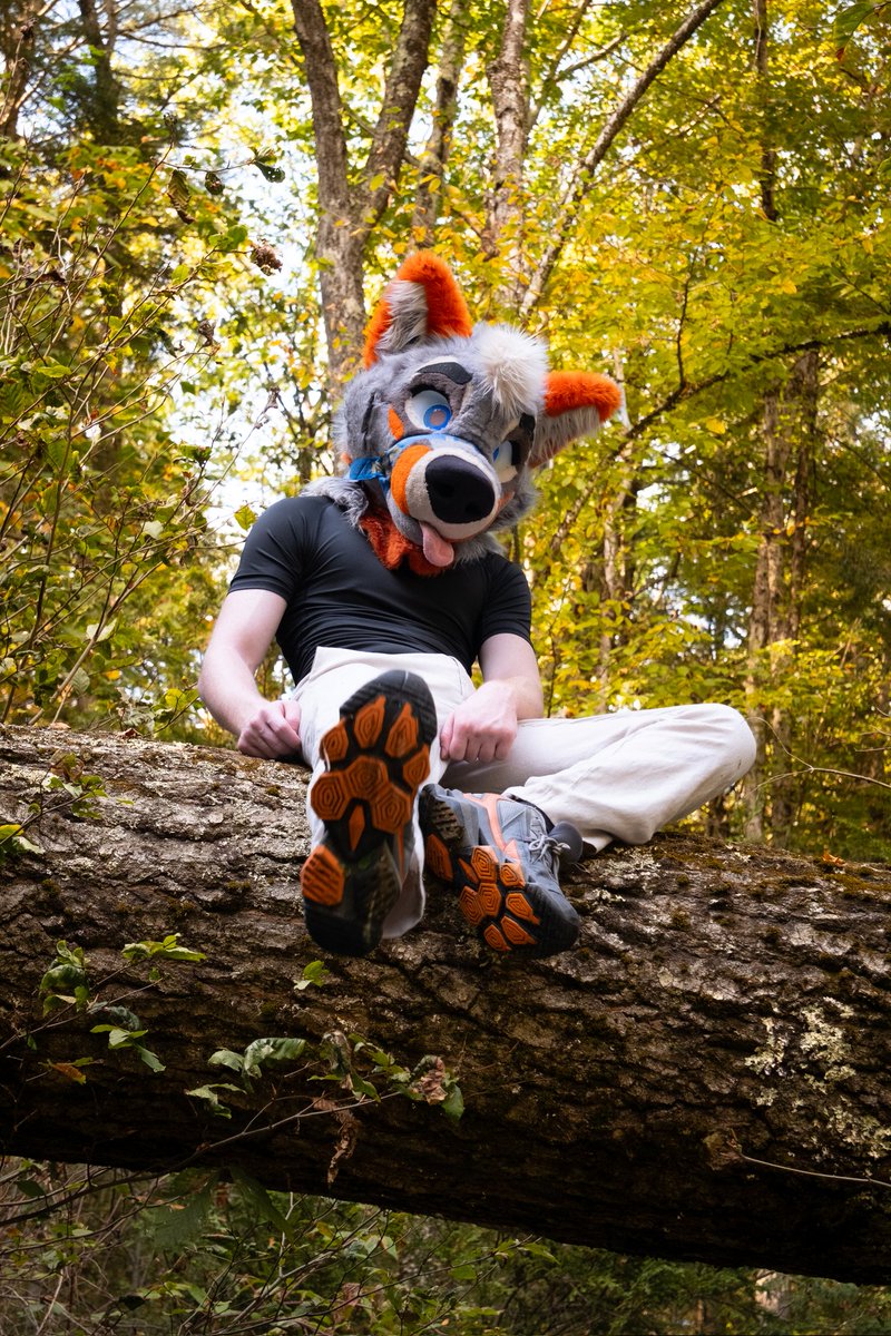 PartDoggo's tweet image. I do not like paws 🤤
I do not like paws 🤤
I do not like paws 🤤
I do not like paws 🤤
I do not like paws 🤤
I do not like paws 🤤