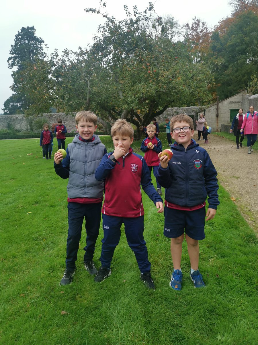The Middle and Senior Room visited <a href="/emocourtOPW/">Emo Court</a> on Thursday. As part of our #CuriousMinds goal, the pupils immersed themselves in biodiversity and history. A big thank you to the teachers, our wonderful tour guide and Eddie the gardener. 🍃 🌳 <a href="/HeritageIreOPW/">Heritage Ireland</a> 🪵