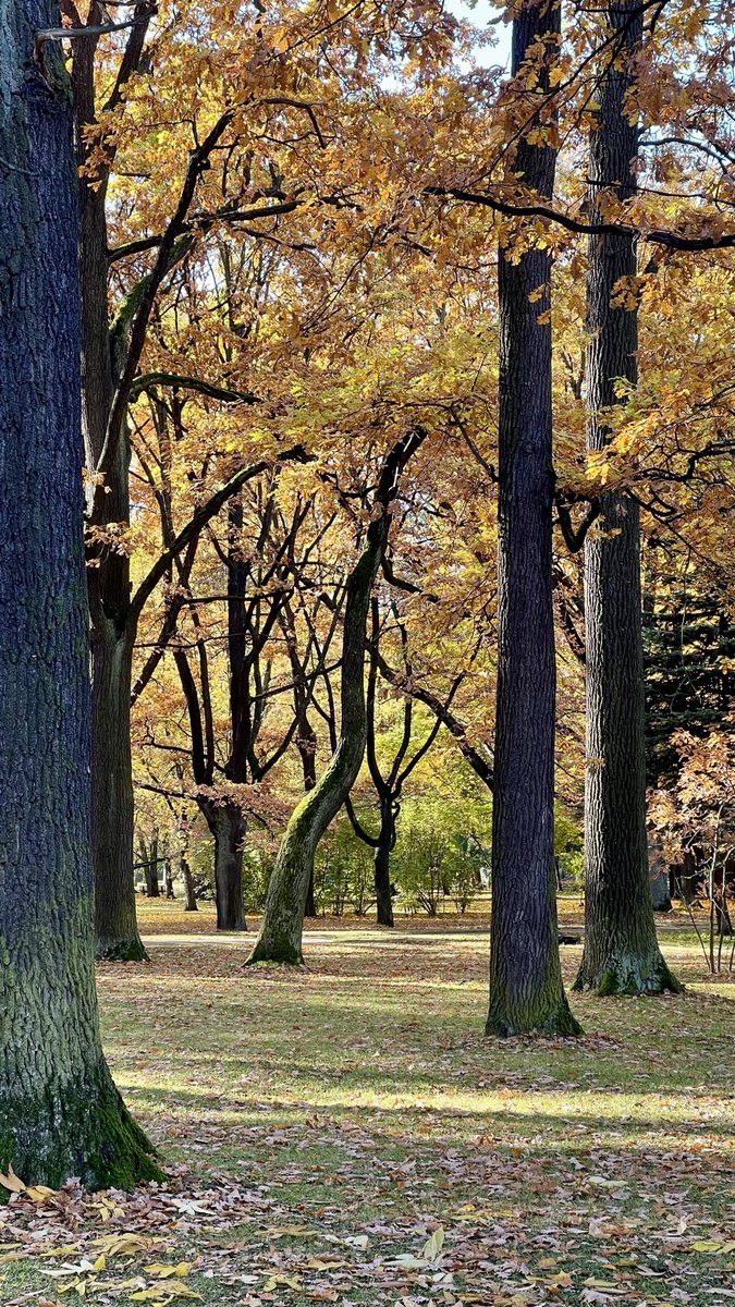 Nesterror's tweet image. Ещё бы зима такая была