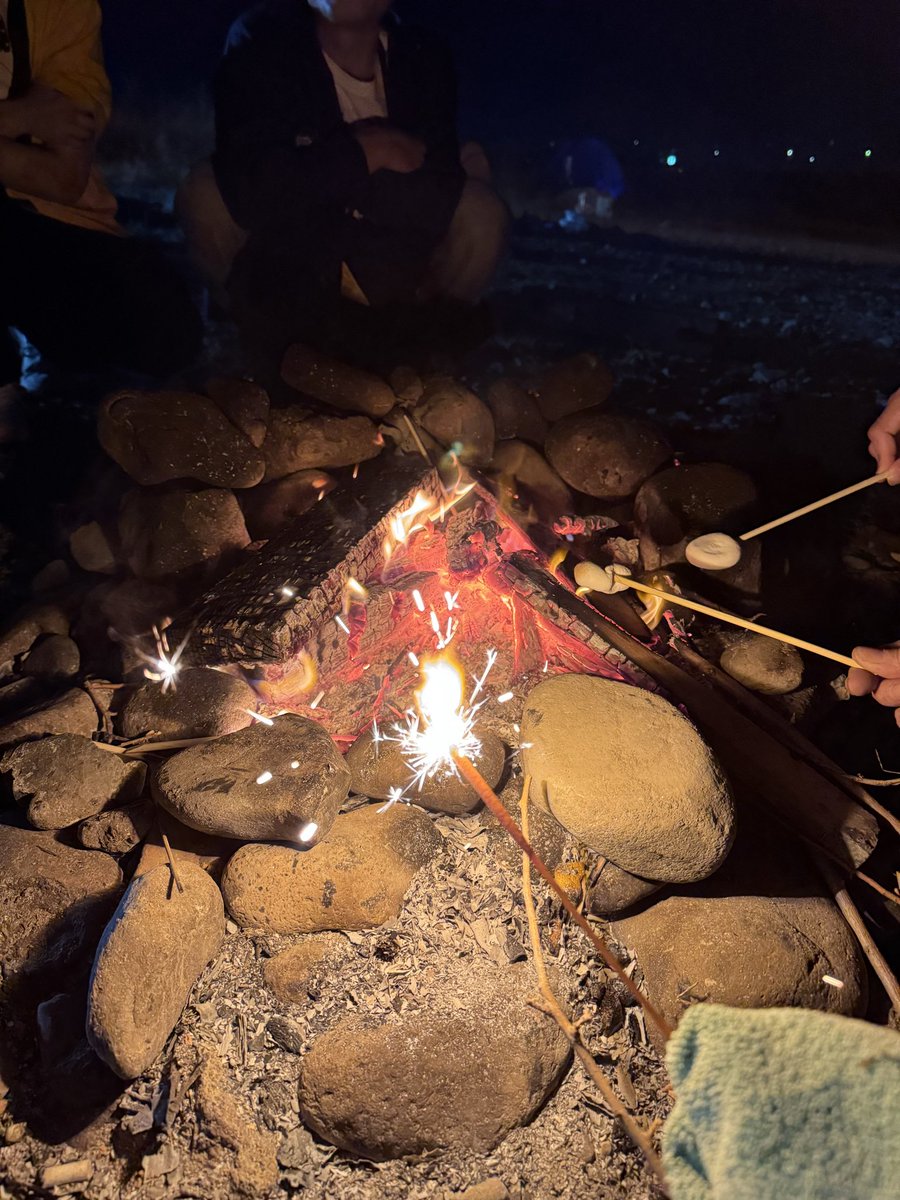 #ノジュロック2025 盛り上がり中