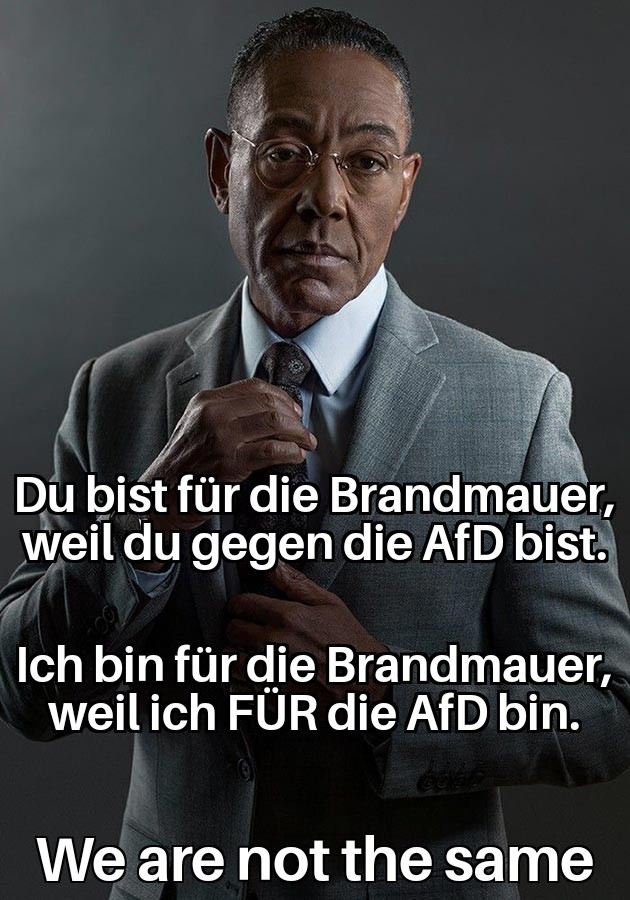 Die AfD wächst hinter der Brandmauer immer weiter👍🏼