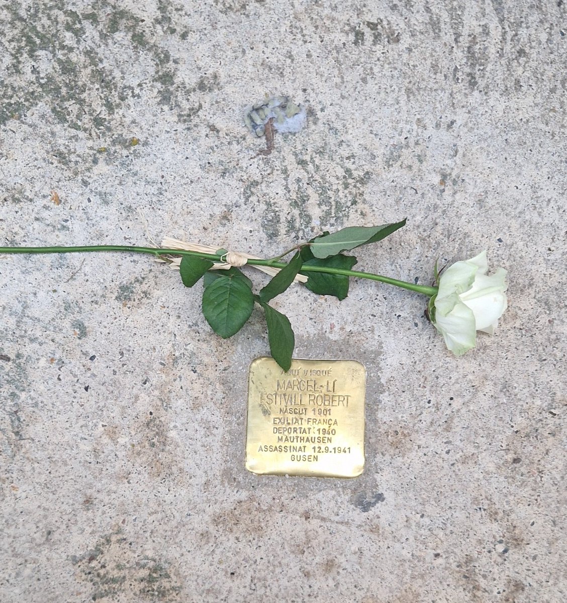 Vilaplana instal·la les Stolpersteine per recuperar i honorar la memòria de Vicenç Roig, Joan Llorenç i Marcel·lí Estivill, tots tres deportats a Mauthausen i assassinats a Gusen.
Excel·lent recerca d'<a href="/AxelBaiMo/">Axel Baiget Morreres</a>. 
<a href="/AjVilaplana/">Ajuntament Vilaplana</a> 
#RememberGusen