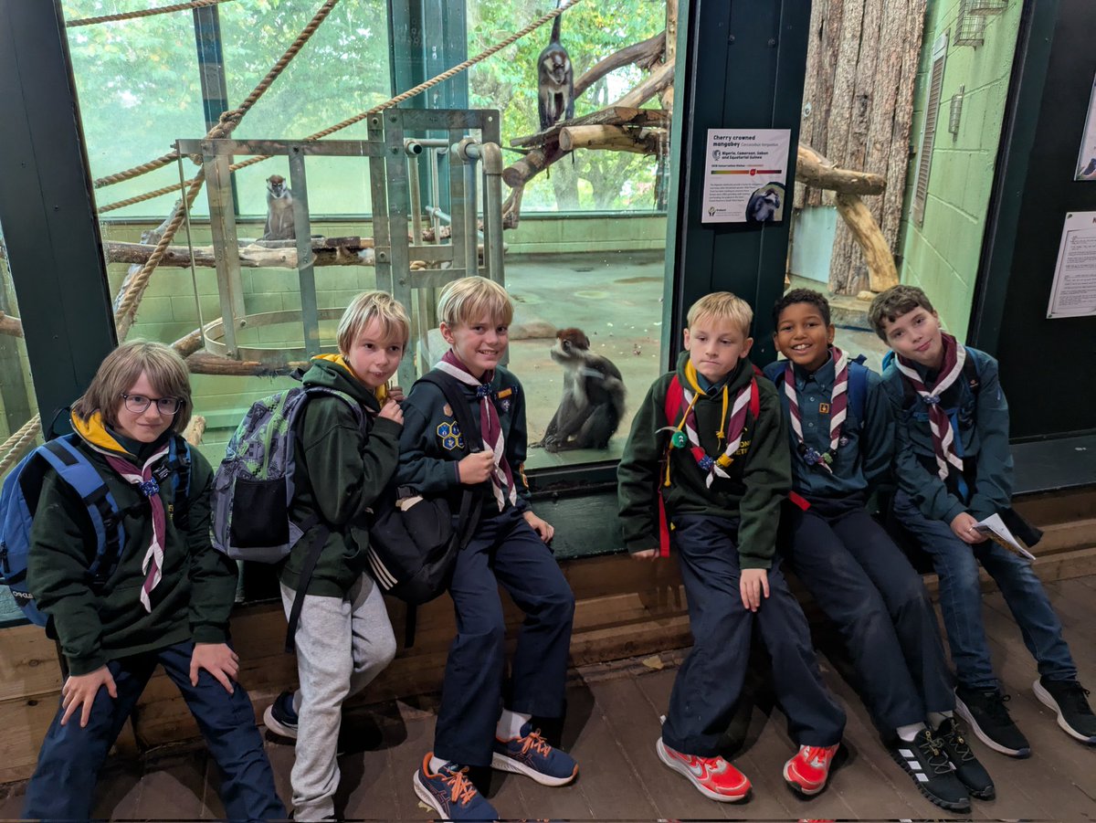 2nd Exeter Scouts tweet media