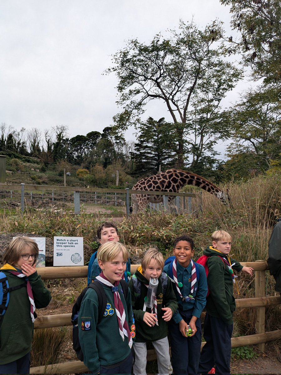 2nd Exeter Scouts tweet media