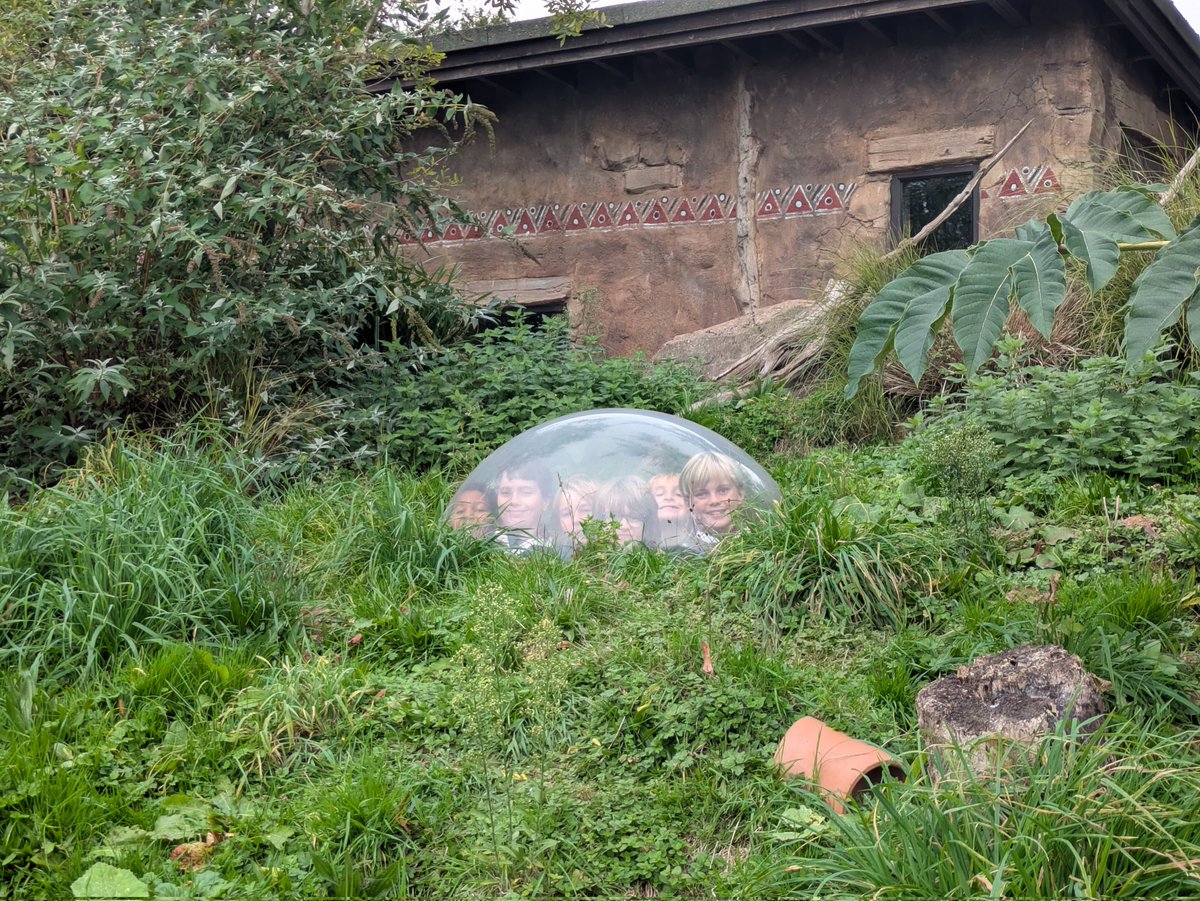 2nd Exeter Scouts tweet media