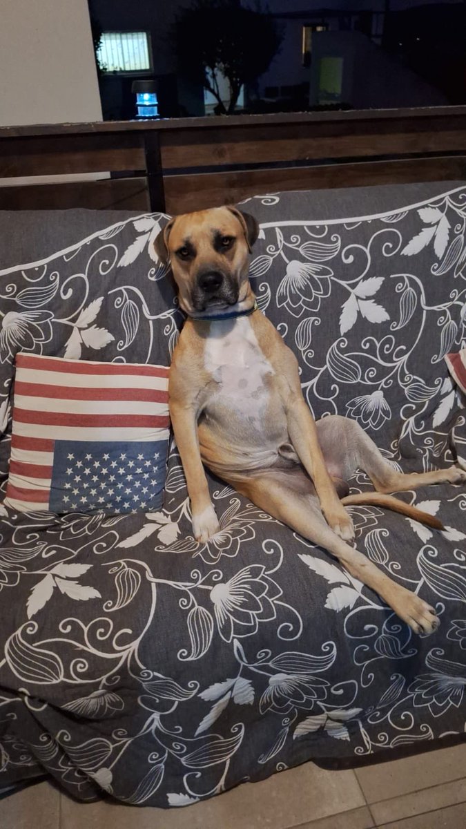 Olly Foster tweet media