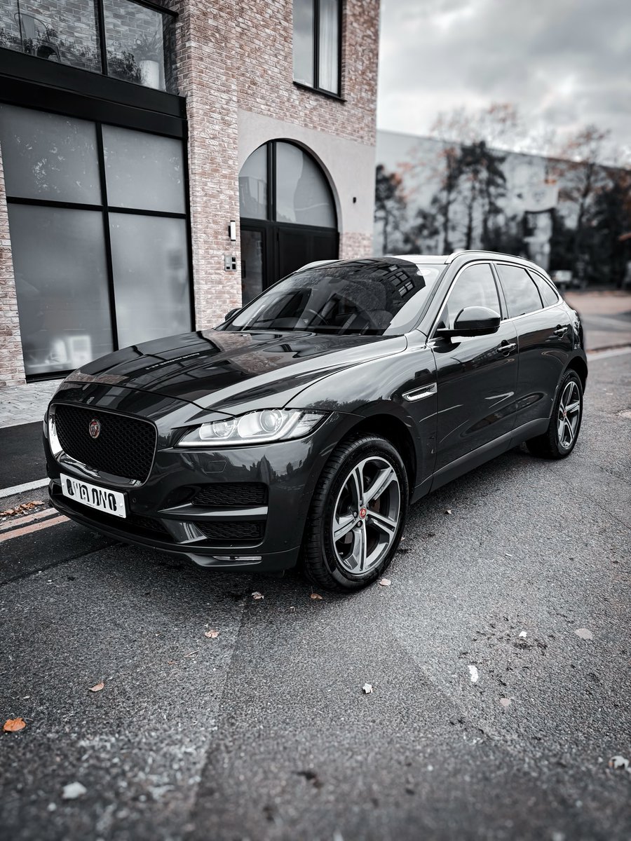 Moliblog's tweet image. A clean big cat! 

#jaguar 
#fpace
#bigcat
