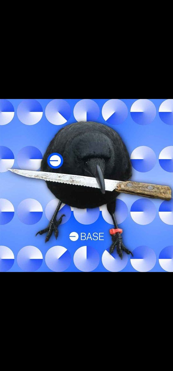<a href="/Z_Humphries/">Zach Humphries</a> <a href="/BasedBrett/">Brett</a> Bullish on crow with knife