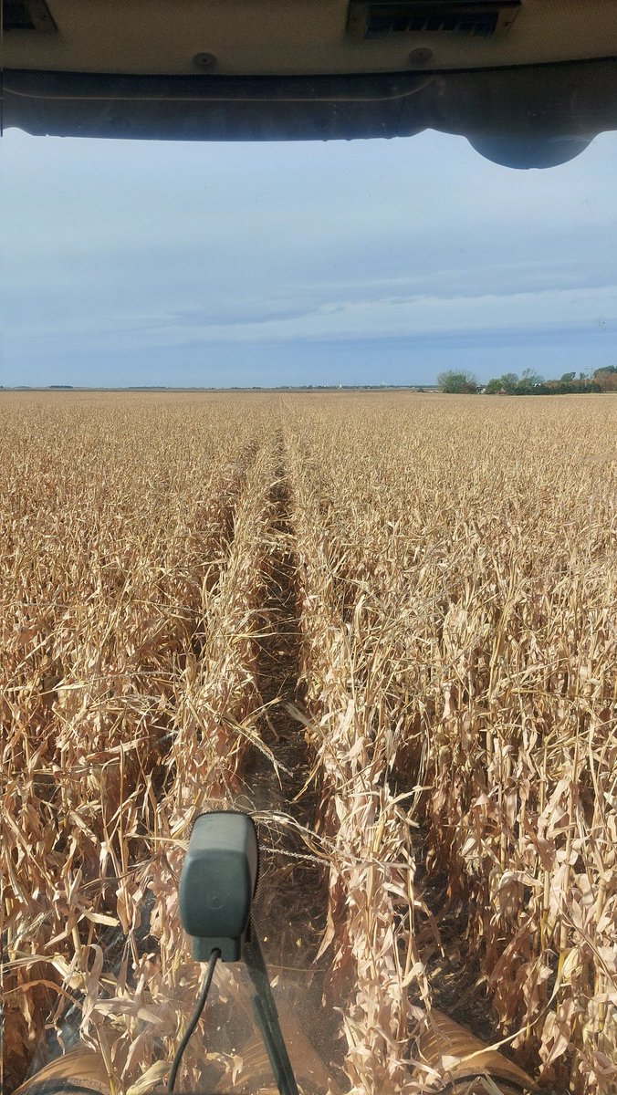 Great day for some <a href="/GoJacksFB/">SDSU Football</a>