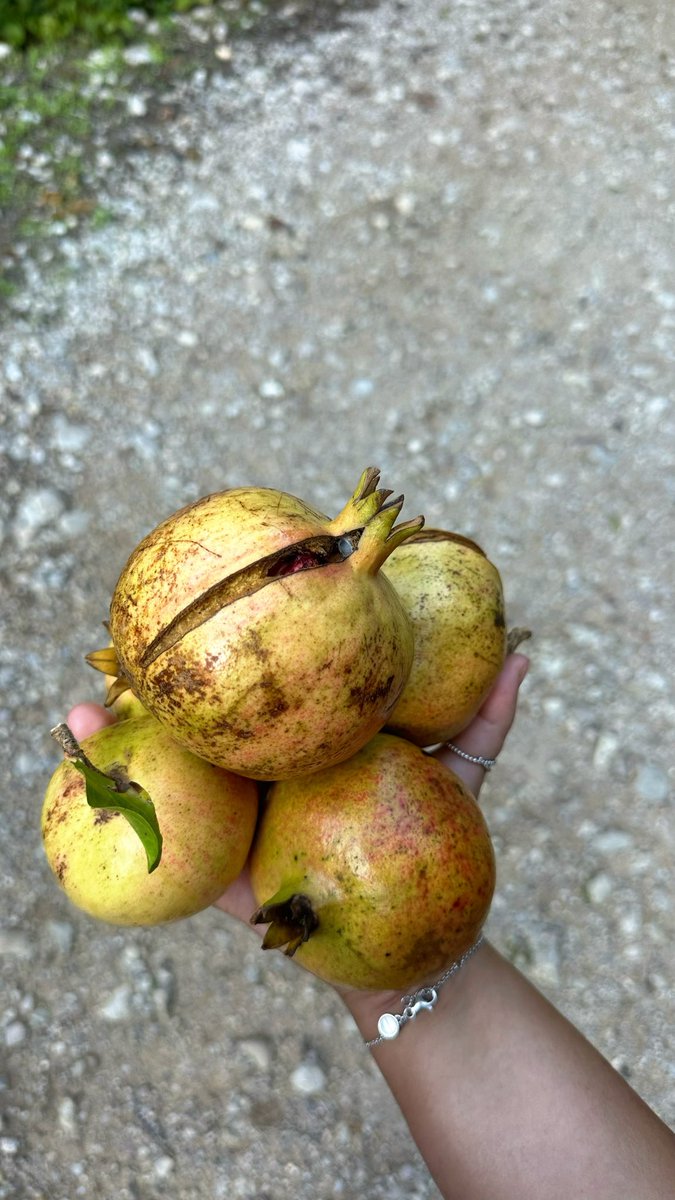 Cómo empecé la ruta VS. Cómo la terminé