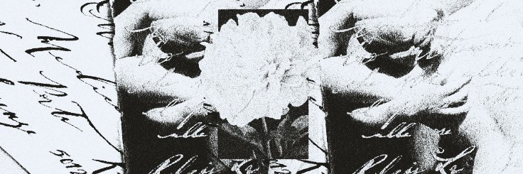 ᅟ ‍‍‍𝐖𝐈𝐋𝐃ᅟᅟ ‍‍‍༒ᅟᅟ ‍‍‍𝓯ᴸ͟ᴼ͟ᵂ͟ᴱ͟ᴿ͟ . tweet media