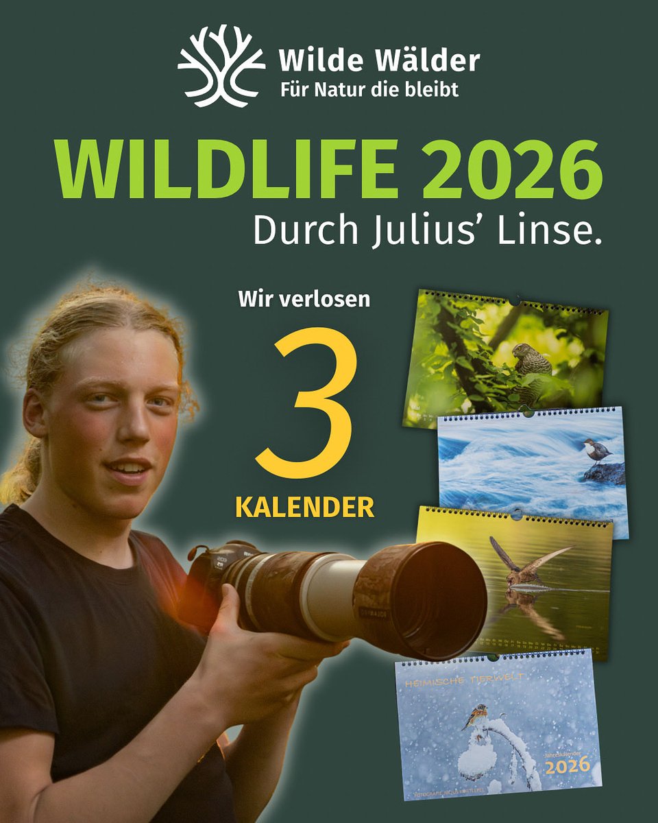 1 Jahr voller Wildnis, Emotion und einzigartiger Momente – festgehalten durch die Linse von Julius, unserem jungen Naturfotografen 📸

Zusammen verlosen wir auf Instagram 3 Fotokalender „WILDLIFE 2026“ – eine Liebeserklärung an die heimische Natur. 💚
 
▶️ instagram.com/p/DP6v8qxjAmK/…