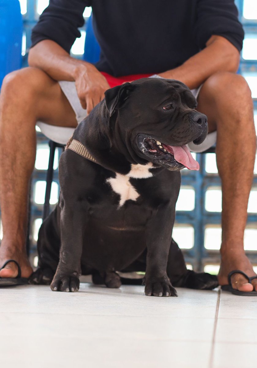 🐾💉 Mais uma campanha de vacinação para os Pets! 🐈

Foram mais de 4 mil atendimentos nas ações de vacinação contra a raiva do programa “Cuidar de Todos, Saúde Animal”.

Porque proteger os pets é cuidar da saúde de todos.
