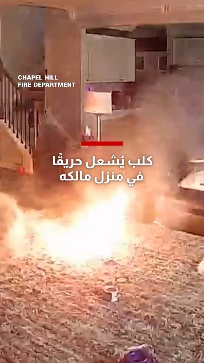 كان يلهو بجهاز يحتوي على بطارية ليثيوم.. كلب يشعل حريقًا في منزل مالكه وكاميرا مراقبة ترصد مشهدًا صادمًا 