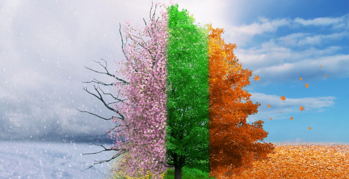 🌳

"قُلوبنا كالفصول، تتنقل بين شدة البرودة ورفق الدفء، تُحييها قطرات الندى وتُميتها رياح الهموم. تتساقط أوراقها كالخريف، وتزهر أحلامها كالربيع. في الشتاء، تُدفئها الذكريات، وفي الصيف، تُشعلها الشوق. هكذا قلوبنا، متقلبة كالفصول، جميلة كالطبيعة."