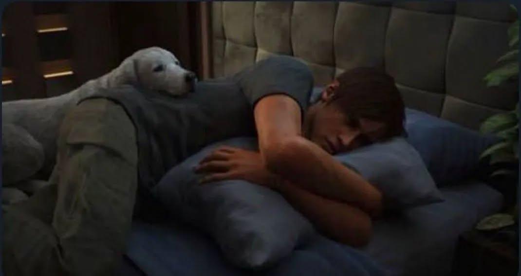 دي نومتك - بعد ما تكون خسارتك كل حاجه حاربت عشانها .