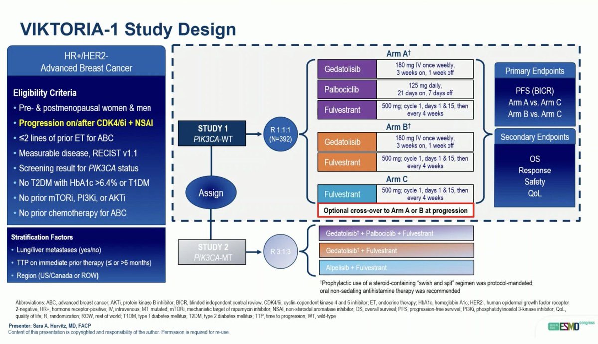 VIKTORIA-1 slide
