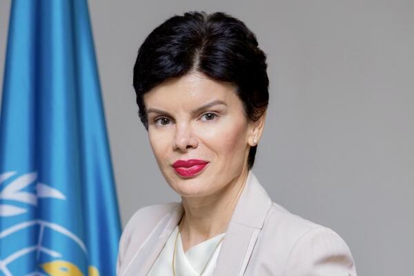 Mina Brajovic tweet media