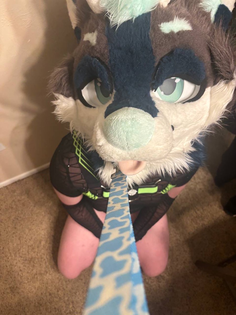 💚 Kras 💚 🔜 FWA tweet media