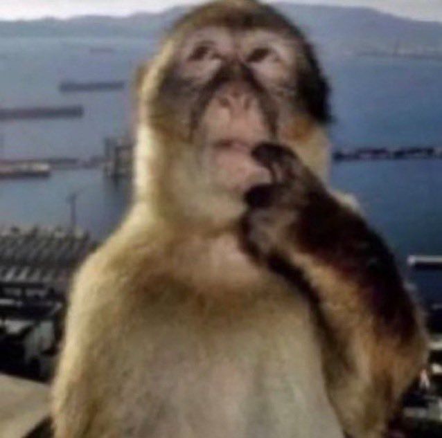 tya ₊˚⊹⋆ tweet media