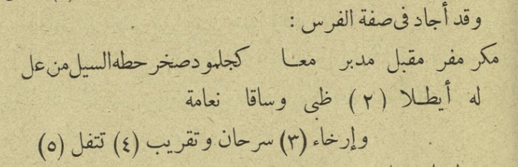 الشَّيماء 🪄 (@ashaymaz) on Twitter photo 