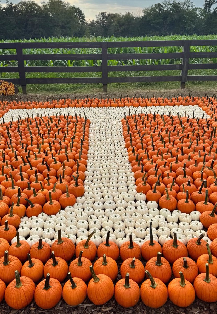 fairybrandmuva_'s tweet image. Hardly home, always reppin’ #V4L