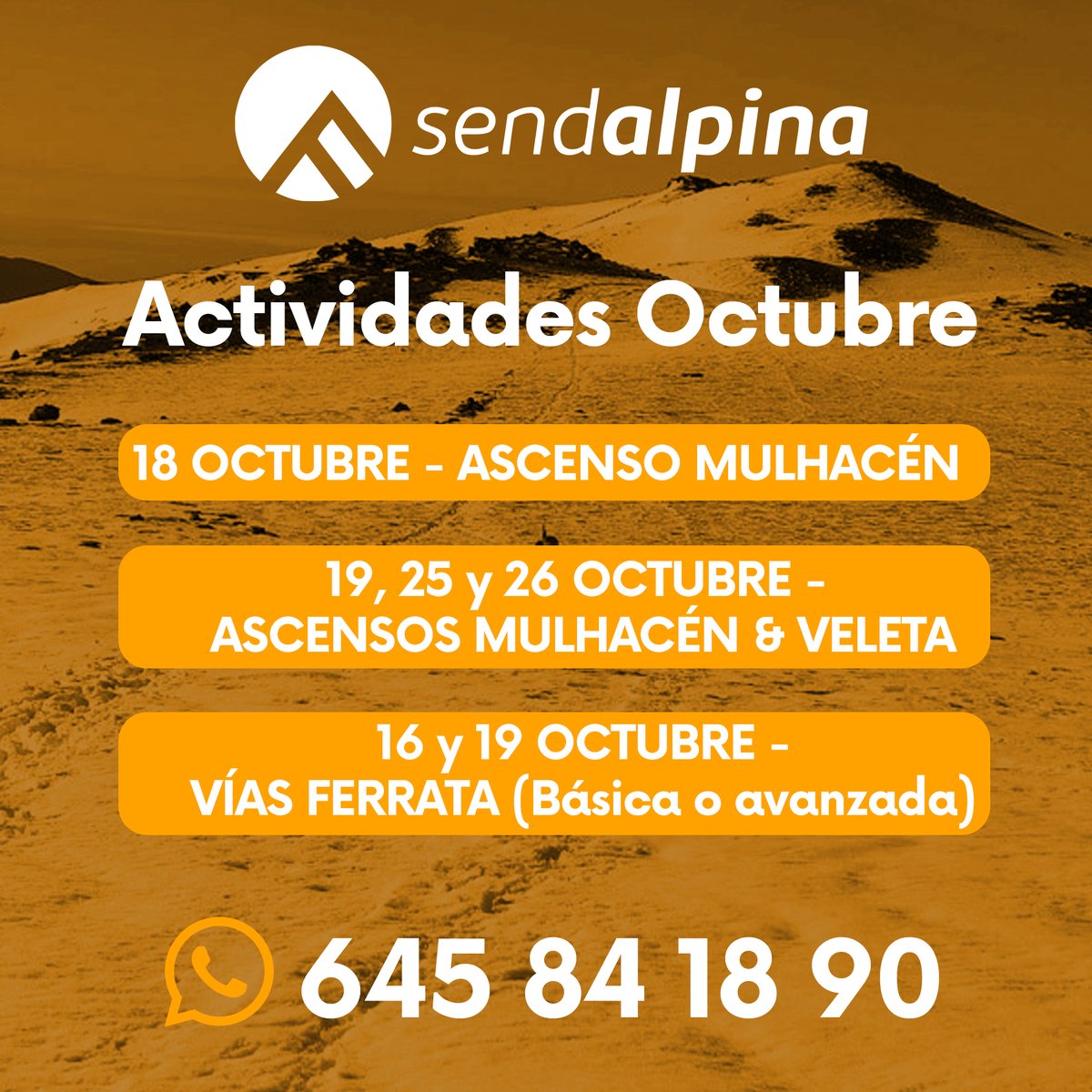 Sendalpina tweet media