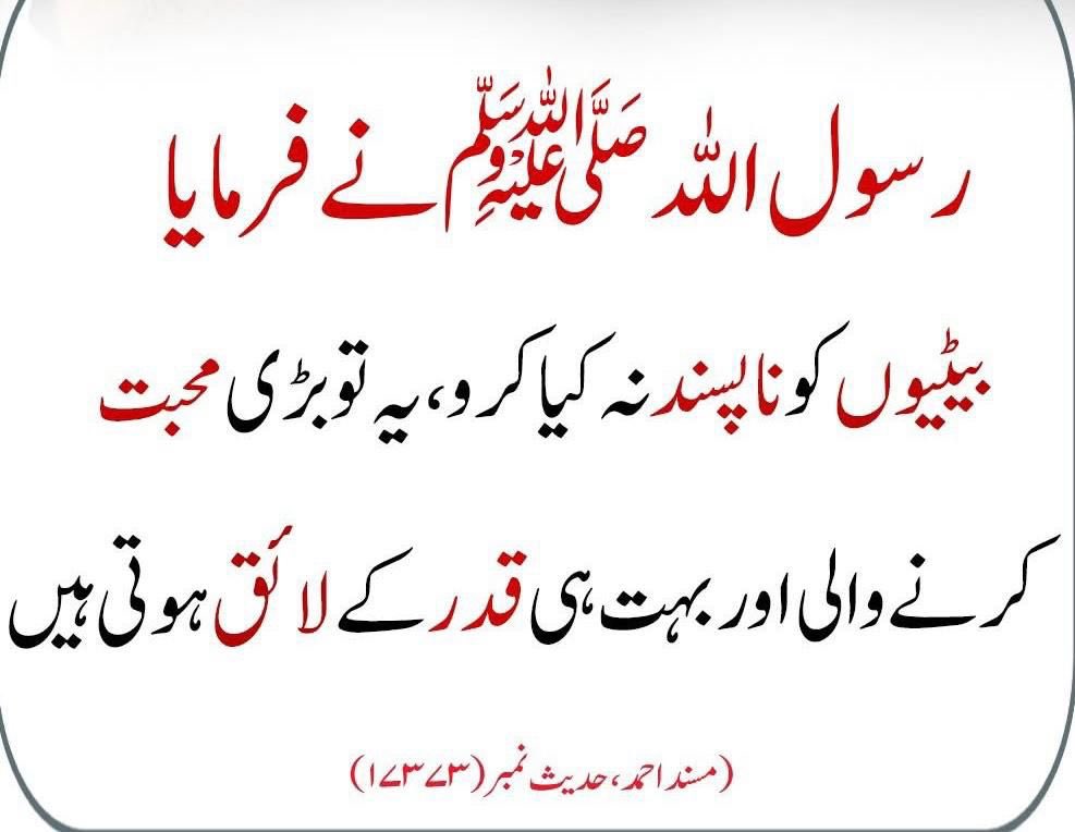 Ishaq Dar (@mishaqdar50) on Twitter photo 