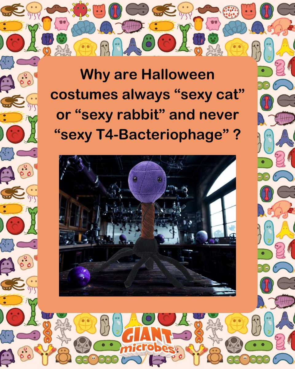 Your sexy cat and rabbit costumes could never. 😜
This #Halloween, it's #Science Gone Wild. We're bringing the real MVPs to the party! 🔬
Shop now: giantmicrobes.com/us/main/new-an…
Inspired by <a href="/IFLScience/">IFLScience</a>
#GIANTmicrobes #MicrobeLife #STEMfun #SpookySeason #Microbes #Biology
