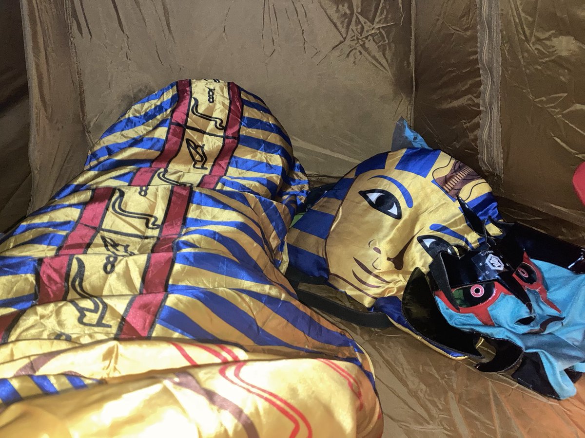 4000年の眠りにつきます
おやすみなさい💤