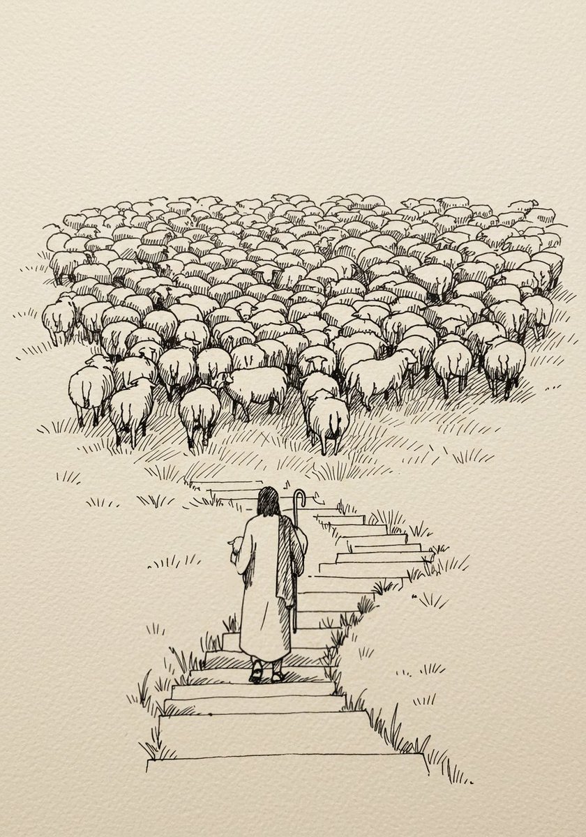 李小娜 (@li96983) on Twitter photo 