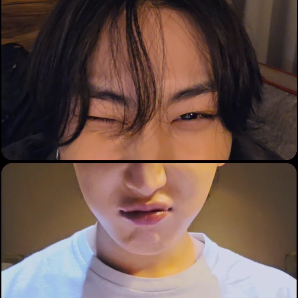 합동 라이브 필수 코스