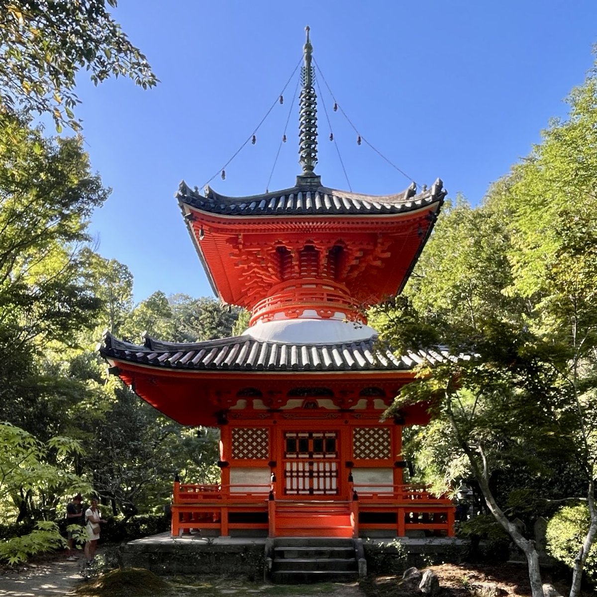 ◆三瀧寺　-広島県広島市-
2025年10月 参拝

高野山真言宗の寺院で、ご本尊は聖観世音菩薩と三鬼大権現🙏🏻
自然豊かな境内に歴史を感じる建造物が多い中、朱塗りの多宝塔が目を惹きます✨
国の重要文化財である木造阿弥陀如来坐像が安置されているようです🍃

#三瀧寺 #広島の御朱印 #中国観音霊場