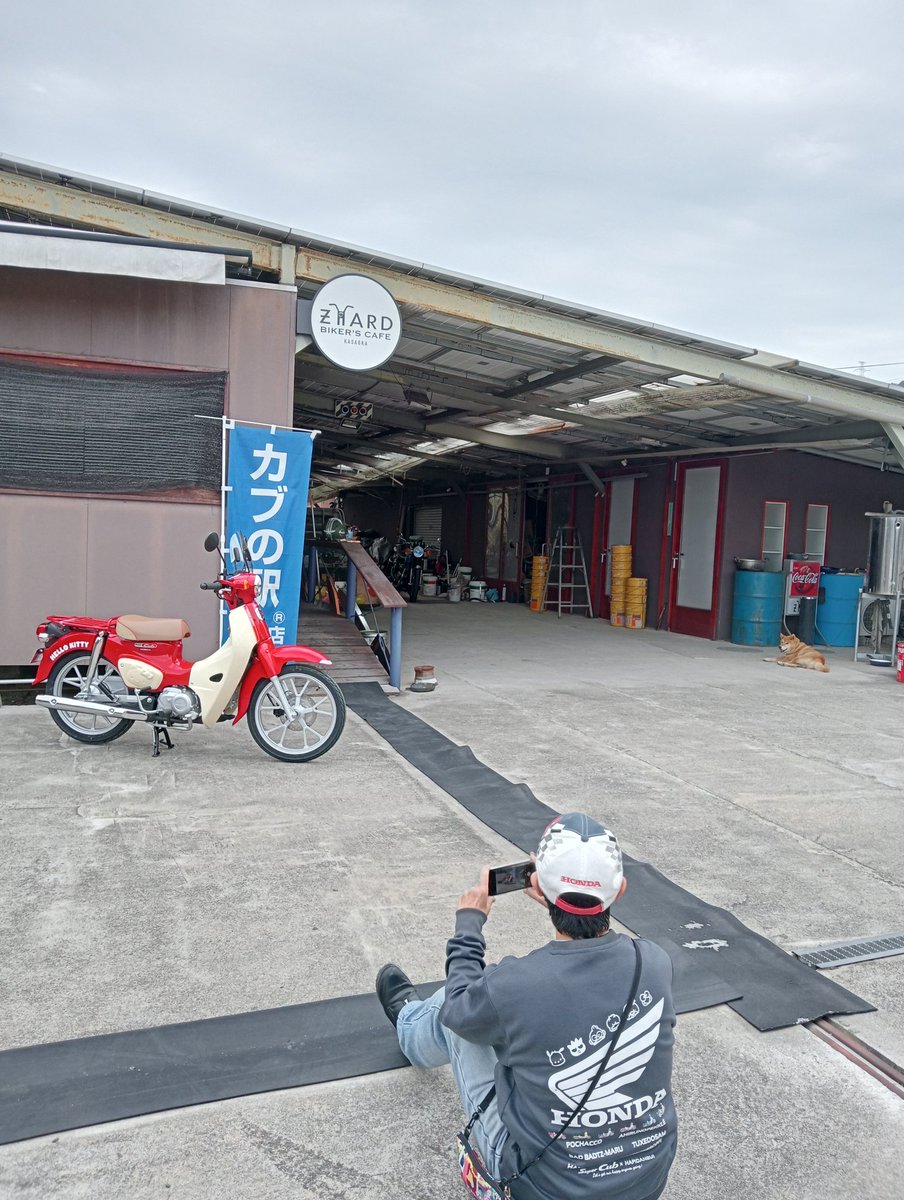 カトちゃん お取り置き Arigato nigga