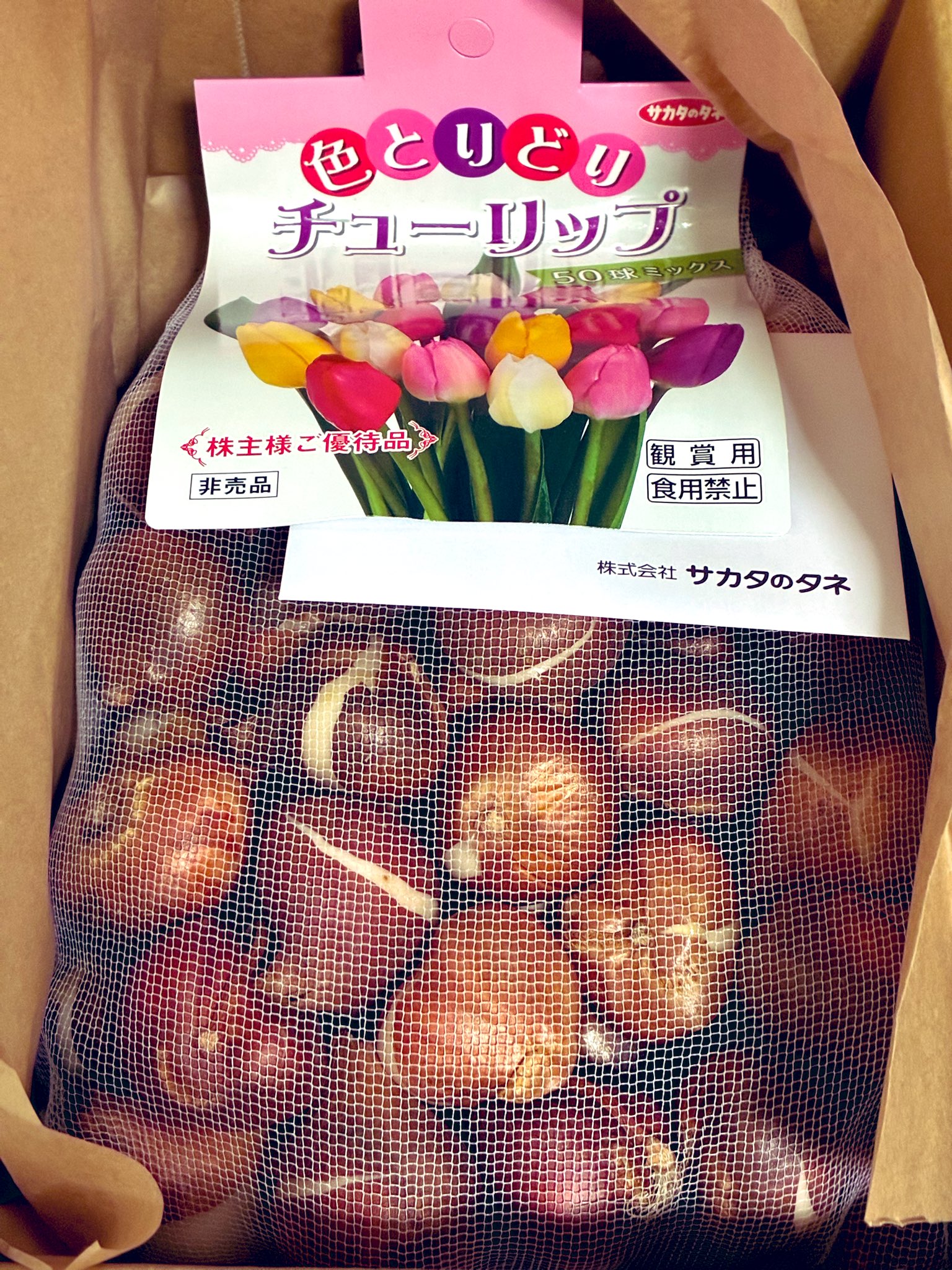 サカタのタネ 株主優待 チューリップ 150球ミックス サカタのタネ 株主優待 チューリップ 150球ミックス