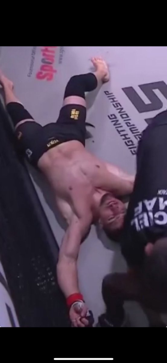 🇲🇦 tweet media