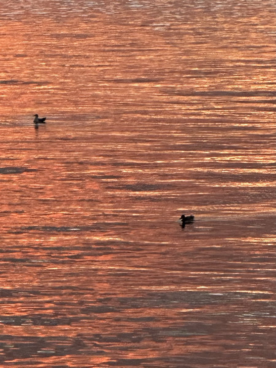 Good morning TOKYO！ 2025.10.19 ⛅️ 20℃ おはようございます