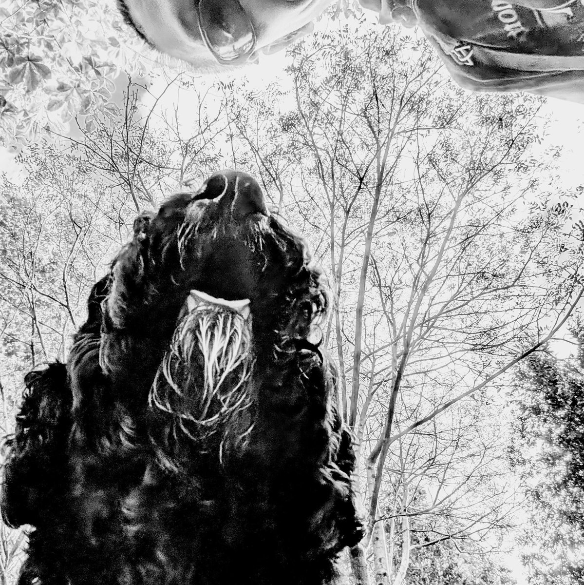 散髪のない散髪屋の1日
『たんぐるす日和』
本日13時-19時
散髪屋タングルスにて開催🦸‍♂️

21周年記念感謝イベント
ゆる～く楽しましょう😁
お待ちしております🙇‍♂️