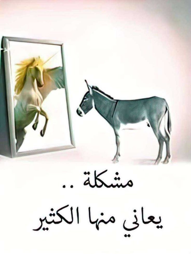 مااكثرهم في واقعنا هذا الزمن