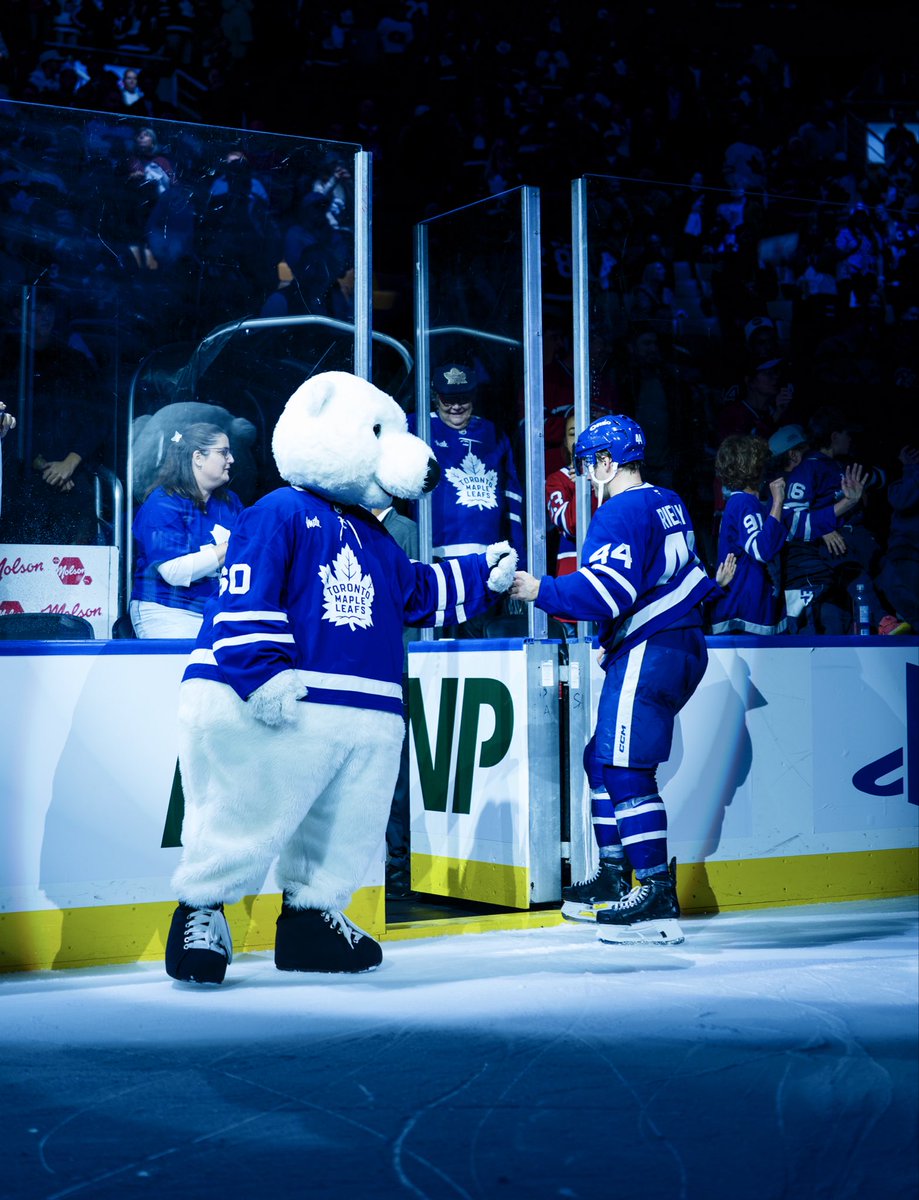 CarltonTheBear's tweet image. I got Rielly nice friends 

#Leafs #LeafsForever #NHL