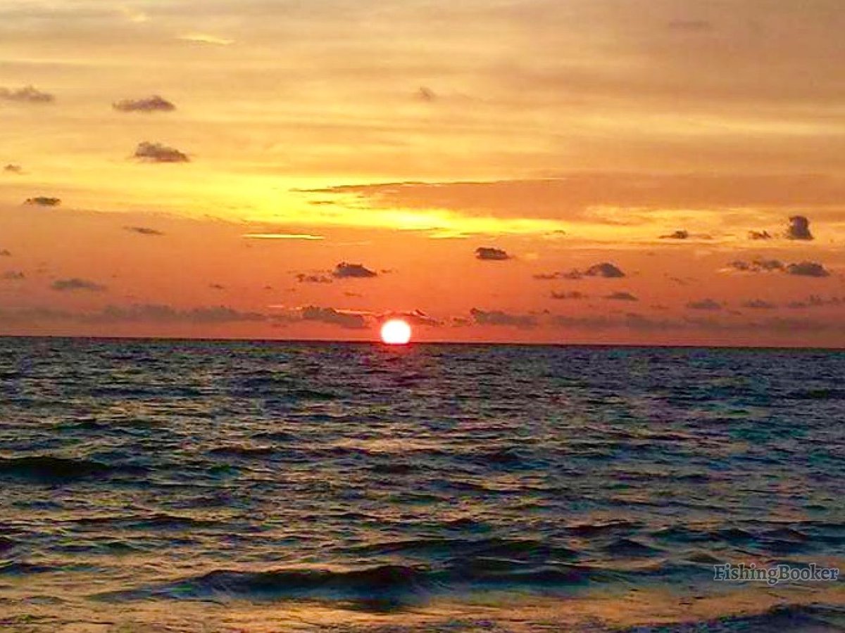 TheRogerRowe's tweet photo. Panama City Beach Boat Tours:

👍https://t.co/UhgsZfoW06

#PCB #PanamaCityBeach https://t.co/JJCurGrIyZ