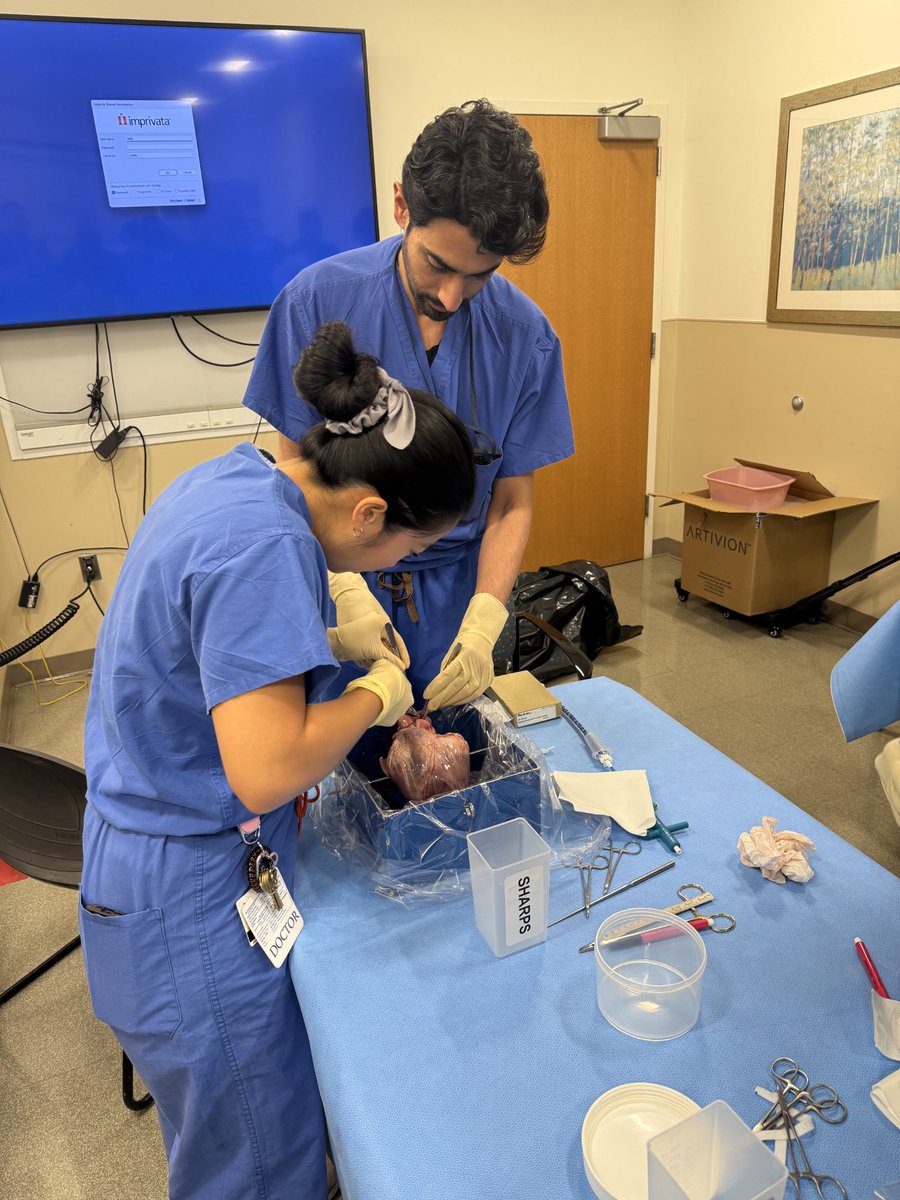 Thank you, <a href="/ArtivionInc/">Artivion</a> for the AMDS wetlab.
Here's our new attending, Dr. Aakash Shah walking PGY2, Olivia Ly through device deployment.