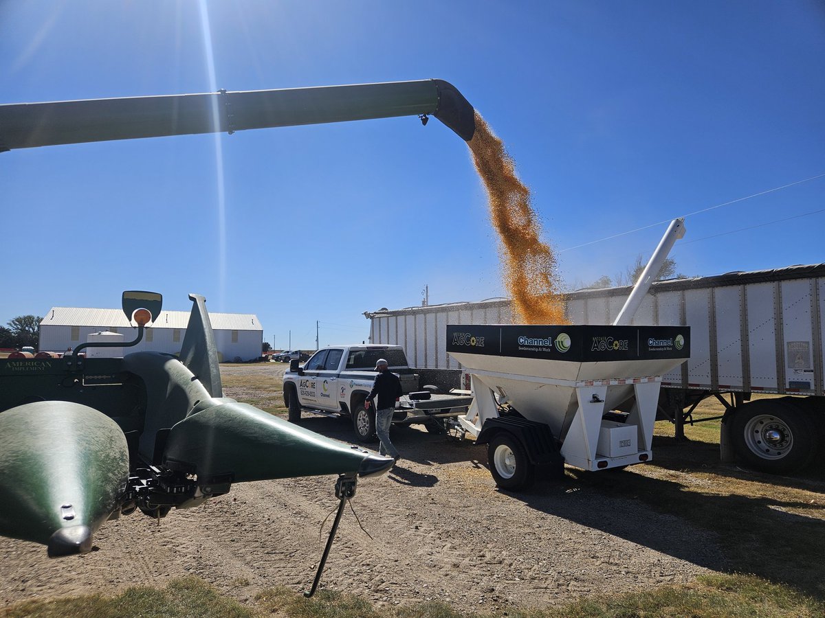 Our last <a href="/ChannelSeed/">Channel Seed</a> plot is officially harvested. God gave us a lot of help in the weather department this year and we are very thankful for the yields our customers have had.