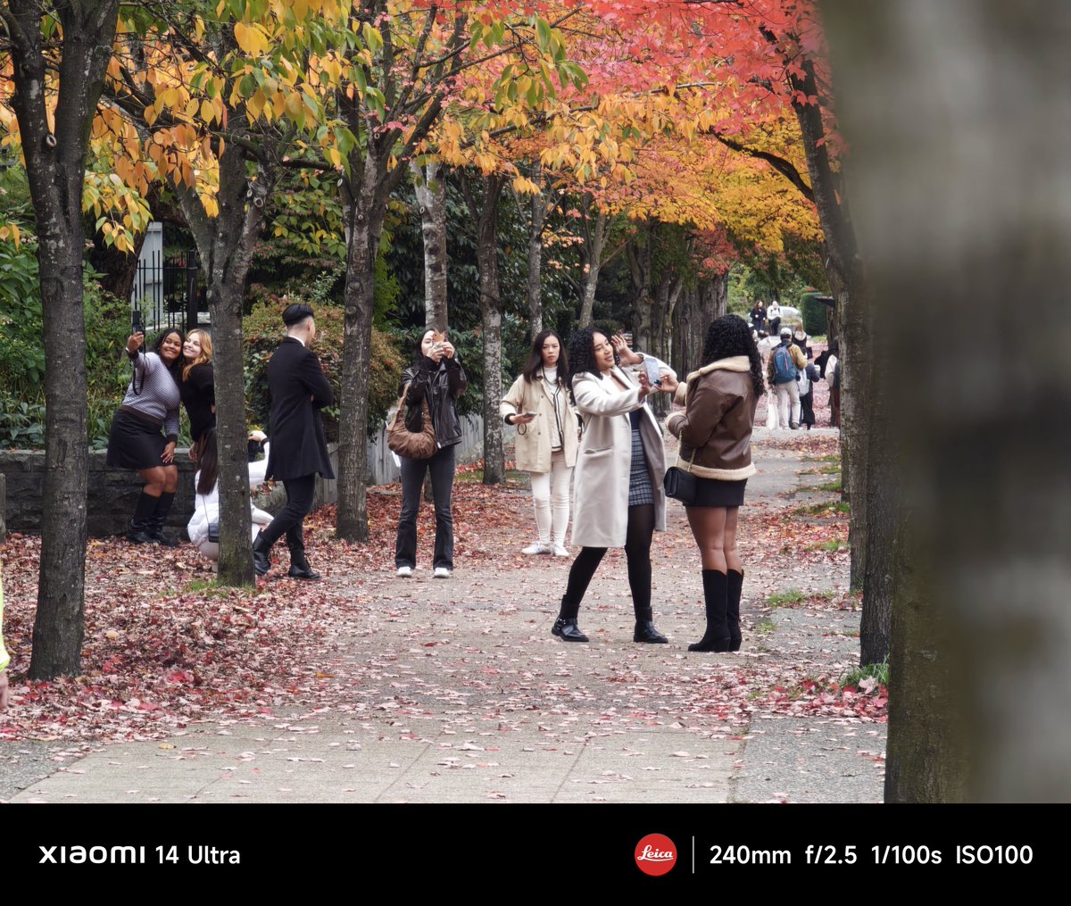 Frankforphones's tweet image. Some 10x with leaves and faces for reference