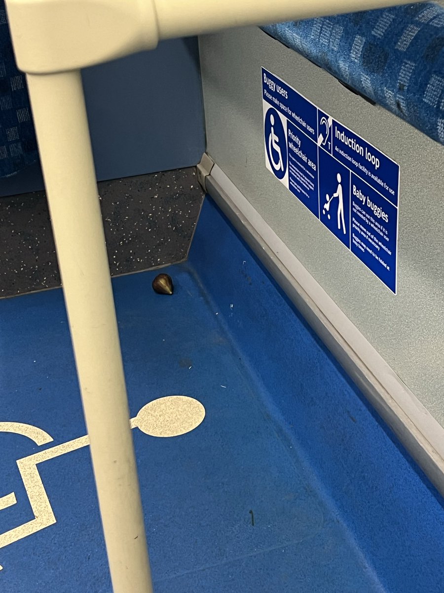 İncirler olmuş ama kimse kalmamış