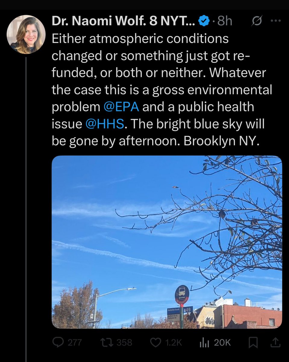 A short story in three parts. 

Sadly <a href="/naomirwolf/">Dr. Naomi Wolf. 8 NYT Bestsellers. DPhil, Poetry.</a> blocked me long ago but perhaps some helpful person could share it with her.