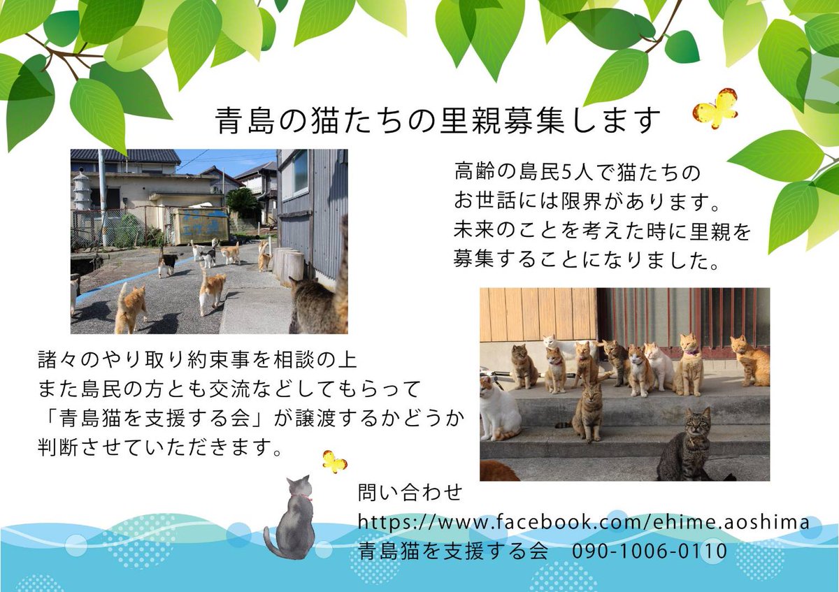 aoshima2020's tweet photo. 再掲です。良いご縁がありますように(=^・^=)

#愛媛県青島 #青島猫 #猫島 #青島 #瀬戸内海猫島 #ネコ好き https://t.co/XKQoBHR8Qq