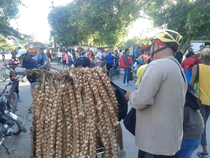 Yolexy8's tweet image. En #Manatí se desarrolla feria agro comercial, espacio de esparcimiento y bienestar para nuestro pueblo. #PoderPopular, #AsambleaManatí, #Cuba, #RevoluciónCubana, @LorenzoOsbel , @YelenysLasTunas .